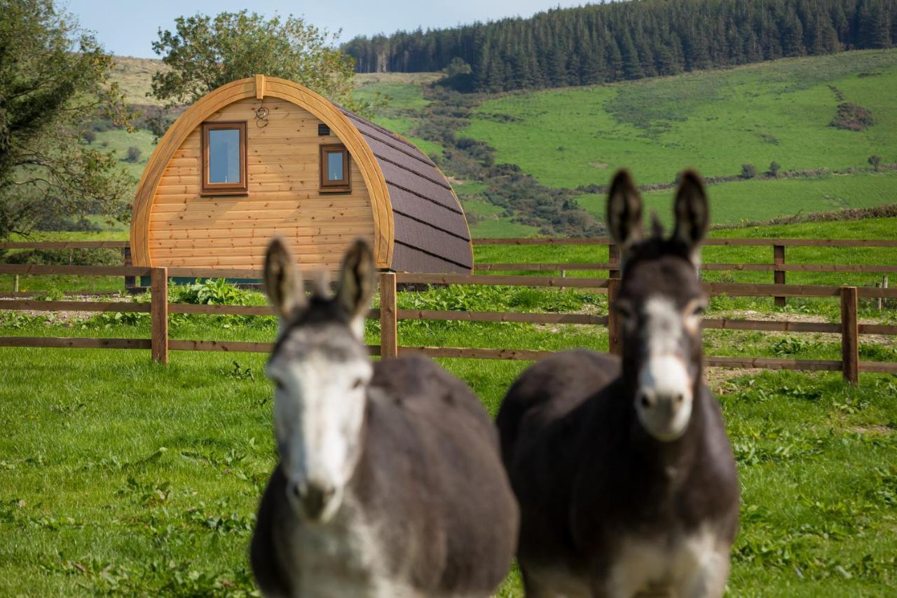 Luxury Two-Bed Glamping Pod In County Clare 2 Villa Kilbane Eksteriør billede