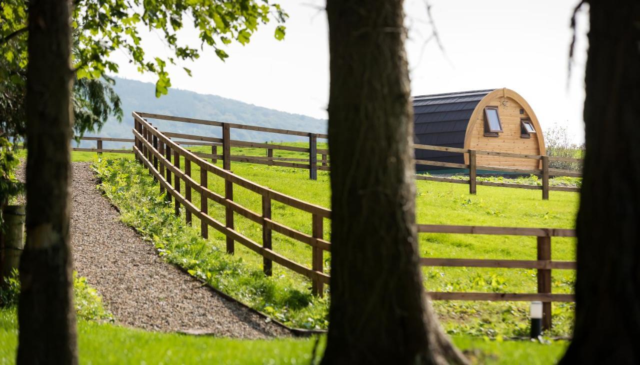 Luxury Two-Bed Glamping Pod In County Clare 2 Villa Kilbane Eksteriør billede