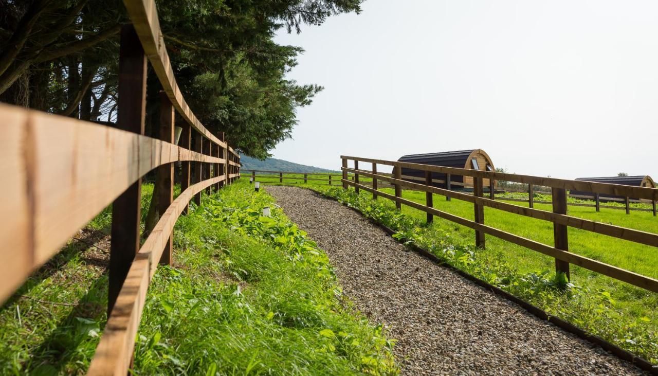 Luxury Two-Bed Glamping Pod In County Clare 2 Villa Kilbane Eksteriør billede