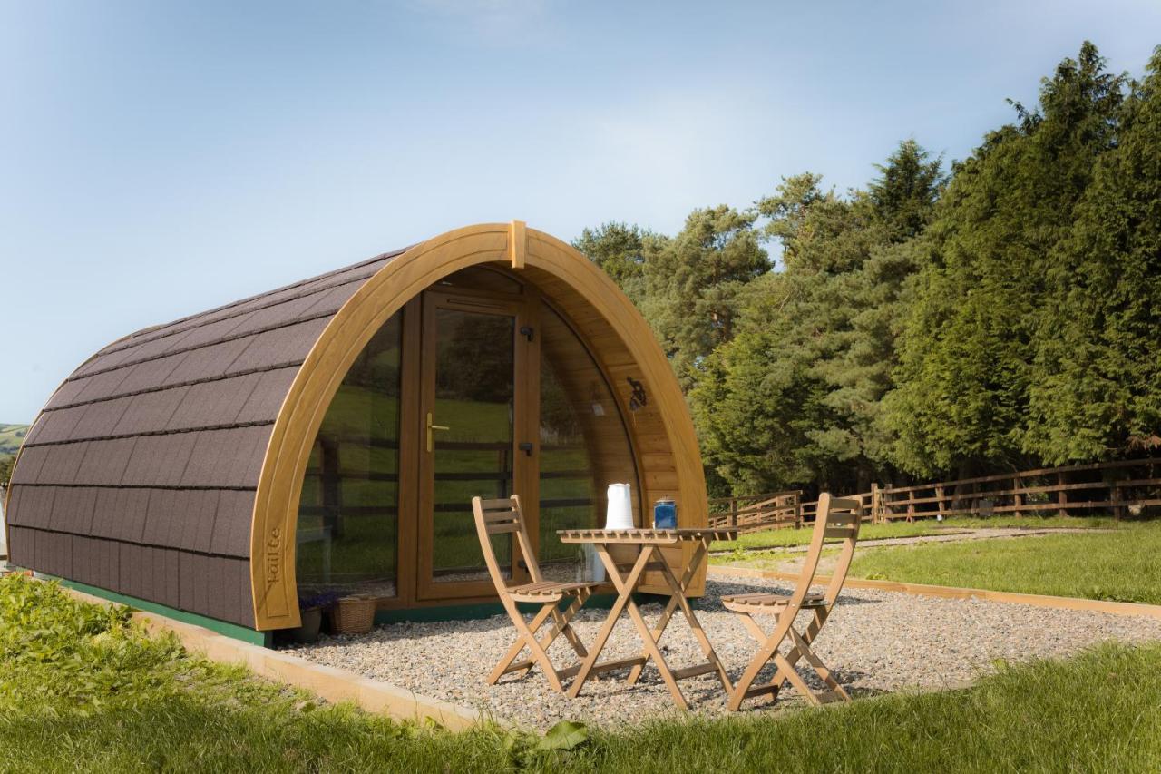 Luxury Two-Bed Glamping Pod In County Clare 2 Villa Kilbane Eksteriør billede