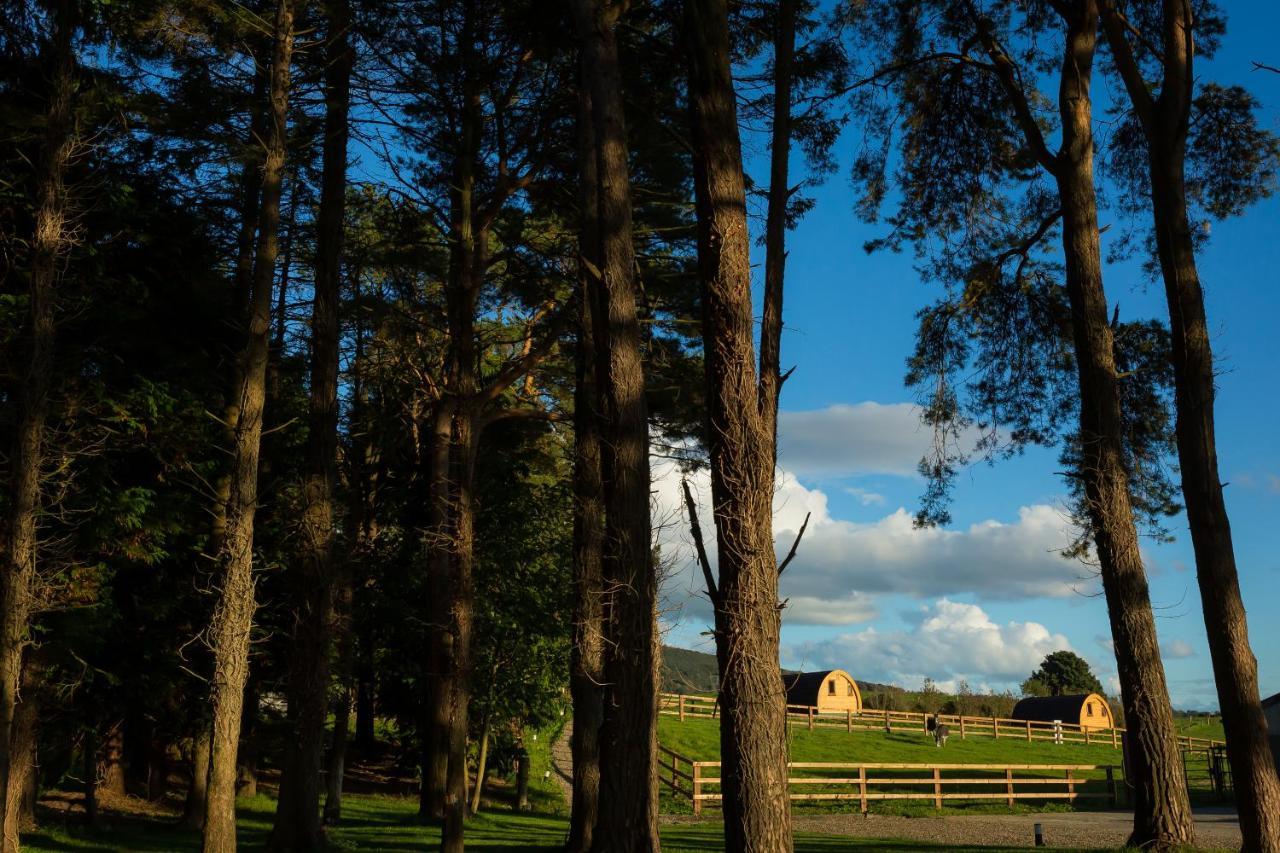 Luxury Two-Bed Glamping Pod In County Clare 2 Villa Kilbane Eksteriør billede